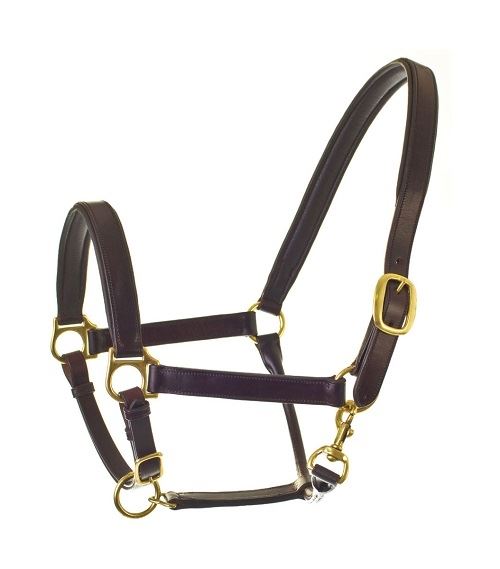 HyCLASS Leather Padded Head Collar - Just Horse Riders