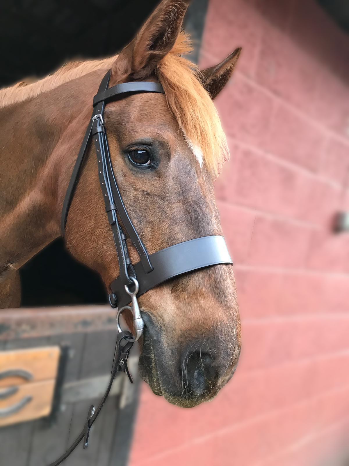 Gallop Equestrian Hunter Bridle - Just Horse Riders