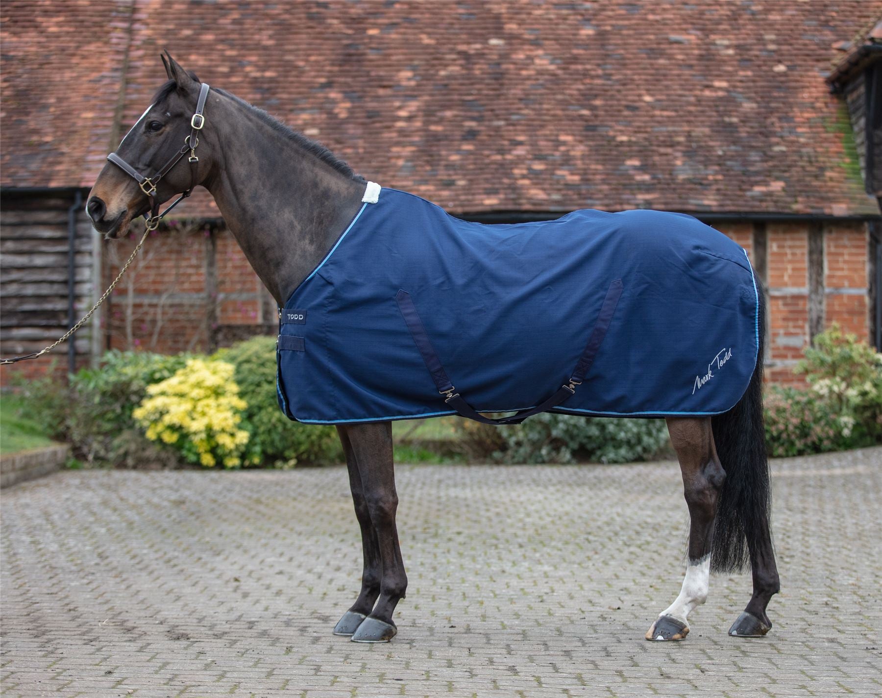 Mark Todd Pro Stable Sheet - Just Horse Riders