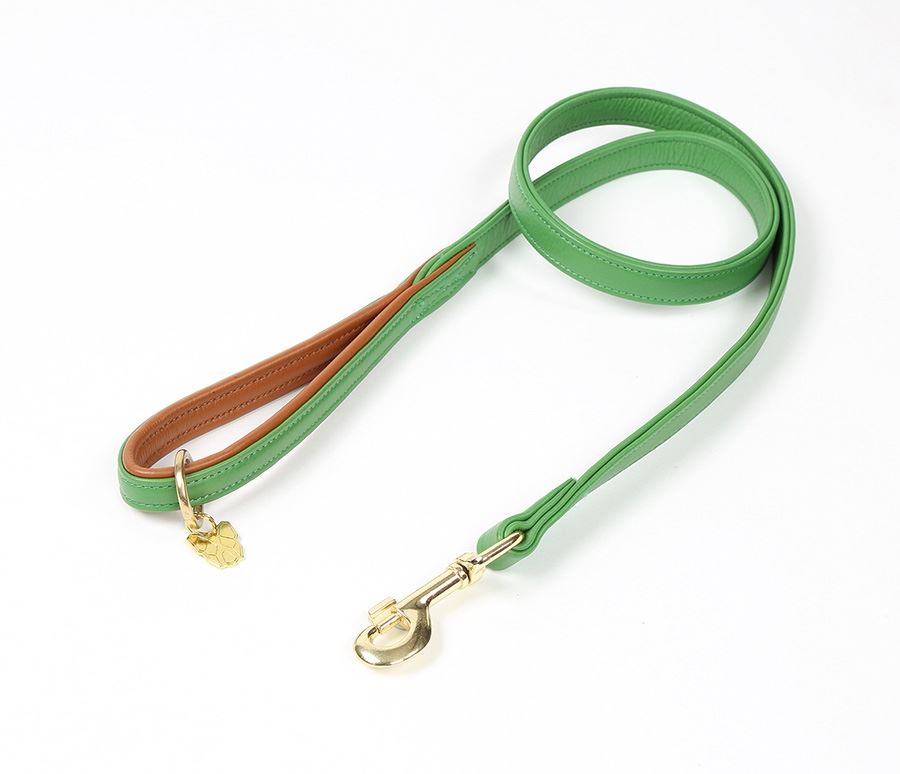 Shires Digby & Fox Padded Leather Dog Lead - Just Horse Riders