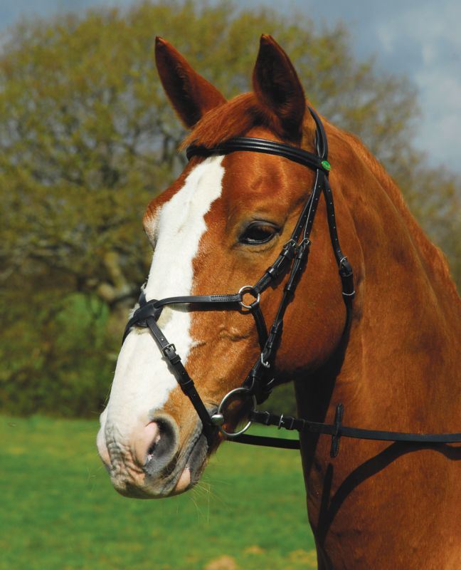 Rhinegold Comfort Mexican Noseband Bridle - Just Horse Riders