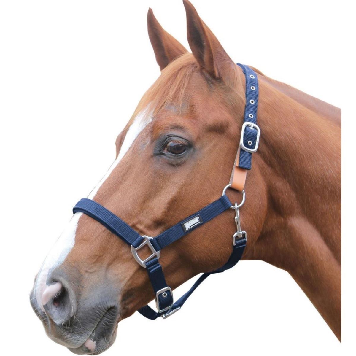 Weatherbeeta Cozi-Dri Standard Neck - Just Horse Riders
