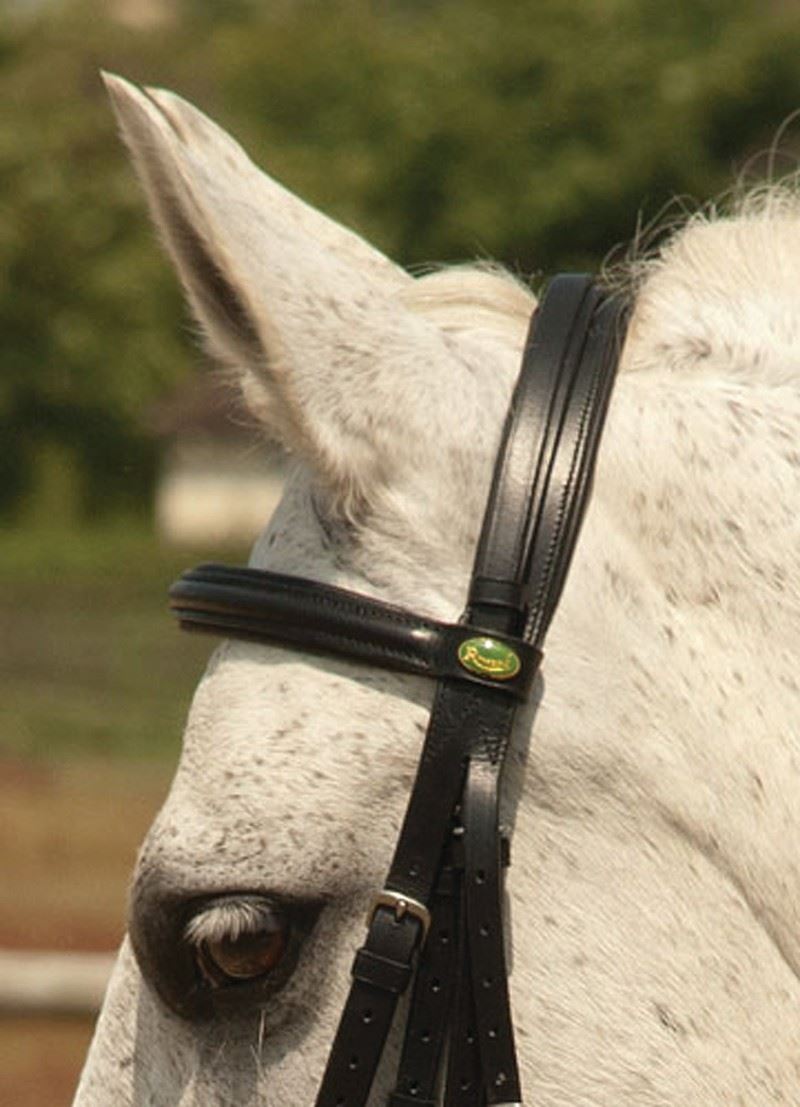 Rhinegold Double Comfort Bridle - Just Horse Riders