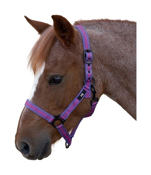 Hy Duo Head Collar - Just Horse Riders