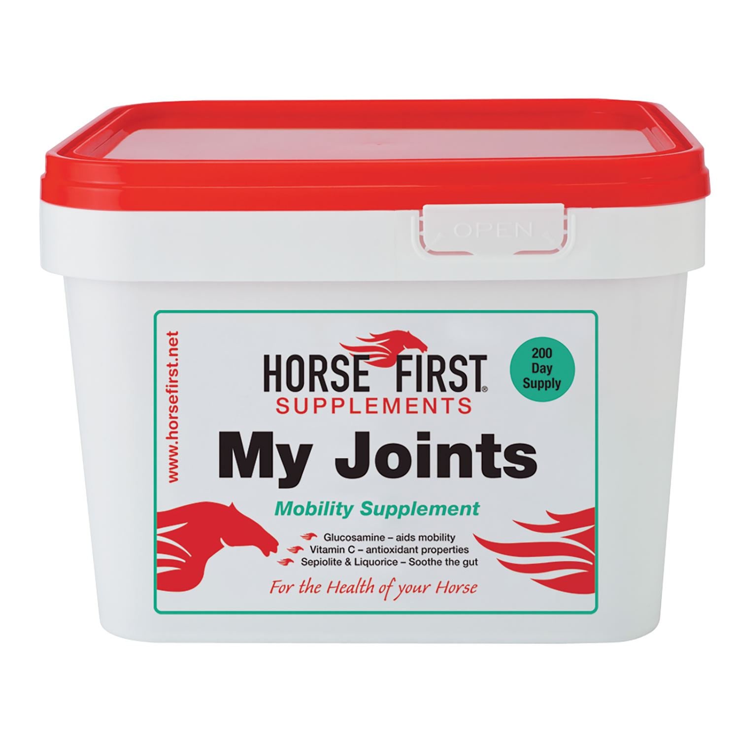 Horse First My Joints - Just Horse Riders