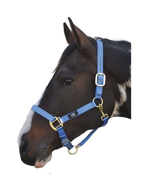Hy Head Collar - Just Horse Riders