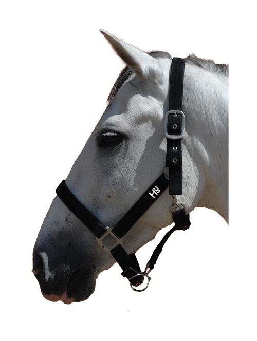 Hy Synthetic Head Collar - Just Horse Riders
