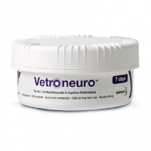 Vetroneuro - Just Horse Riders