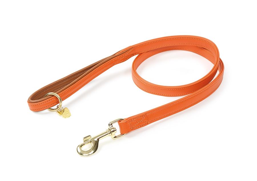 Shires Digby & Fox Padded Leather Dog Lead - Just Horse Riders