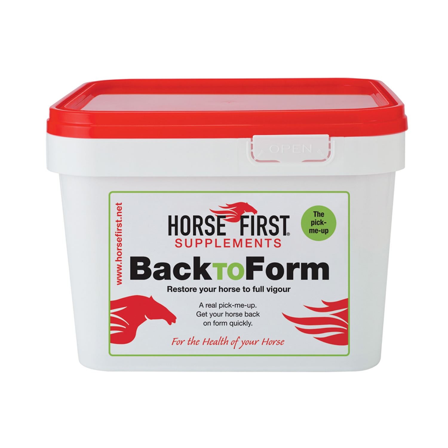 Horse First Back To Form - Just Horse Riders