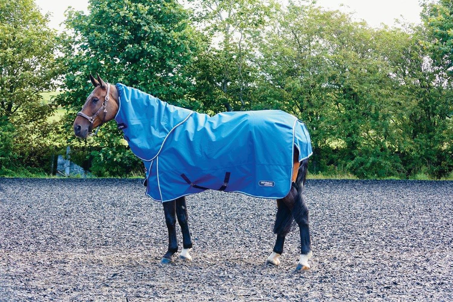 Whitaker Turnout Rug Ottowa 300 Gm - Just Horse Riders