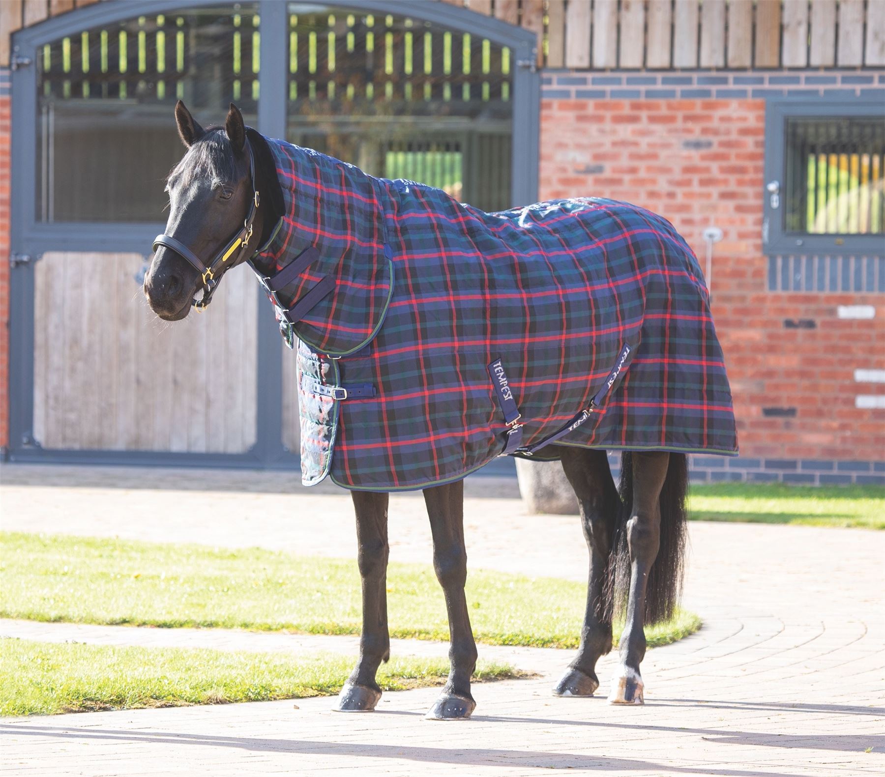 Shires Tempest Plus 100 Stable Combo Rug - Just Horse Riders