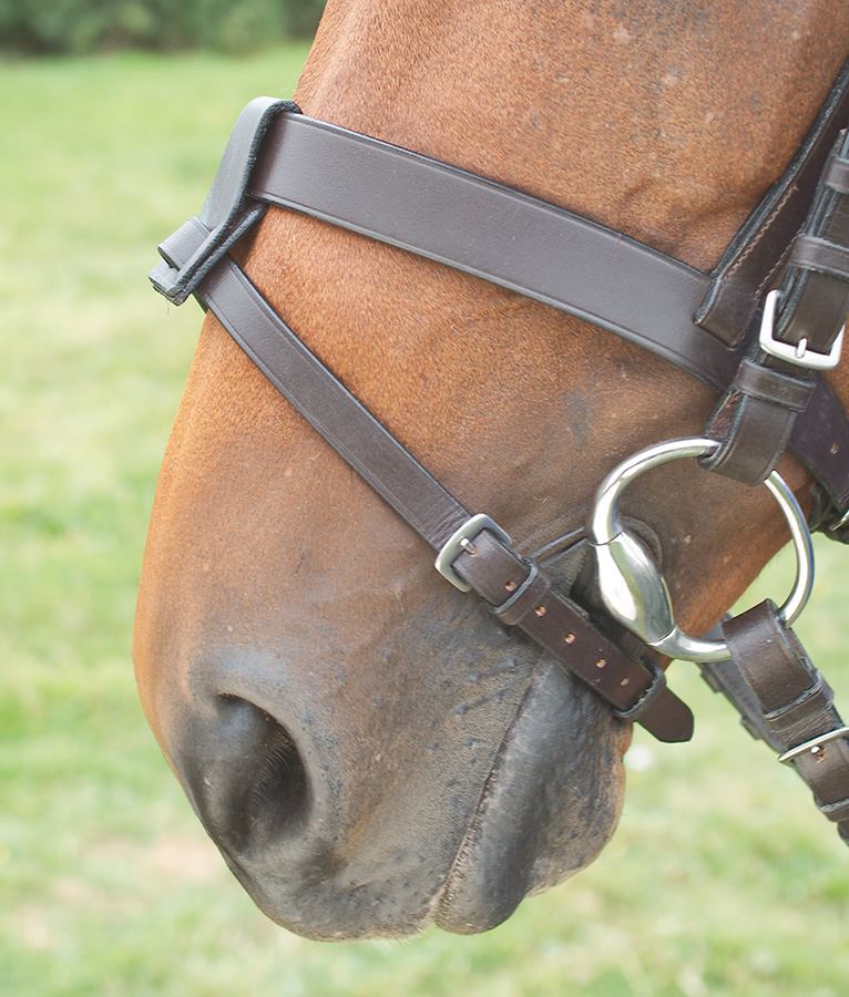 Shires Blenheim Flash Attachment - Just Horse Riders