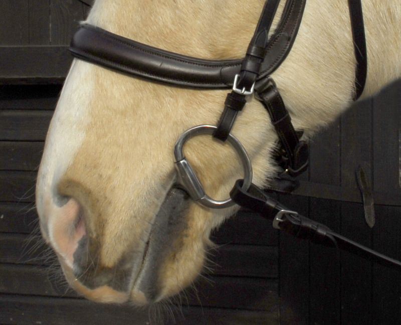Heritage Anatomical Cavesson Bridle - Just Horse Riders
