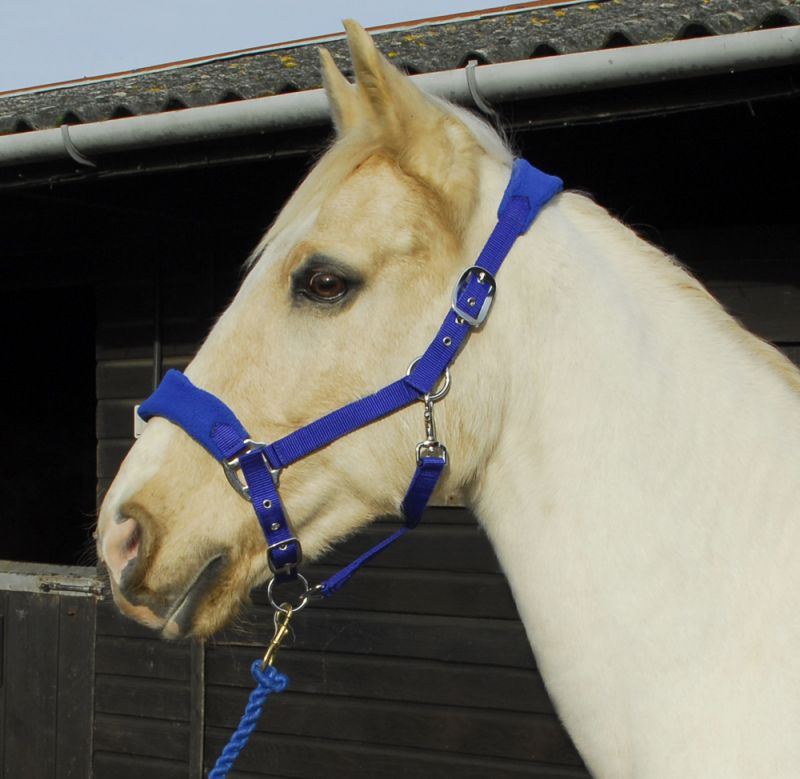 Rhinegold Comfort Headcollar And Rope Set - Just Horse Riders