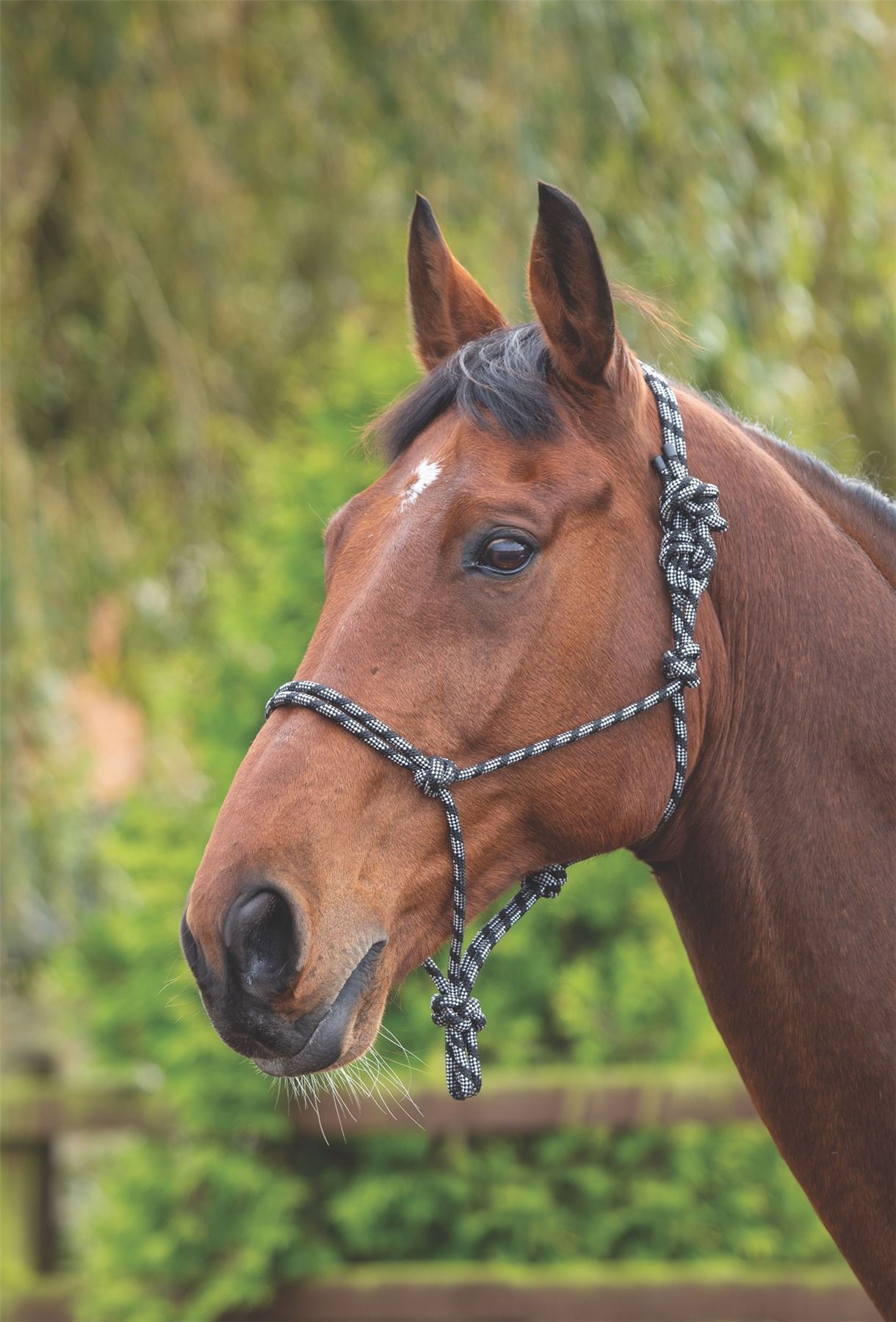 Shires Rope Control Headcollar - Just Horse Riders