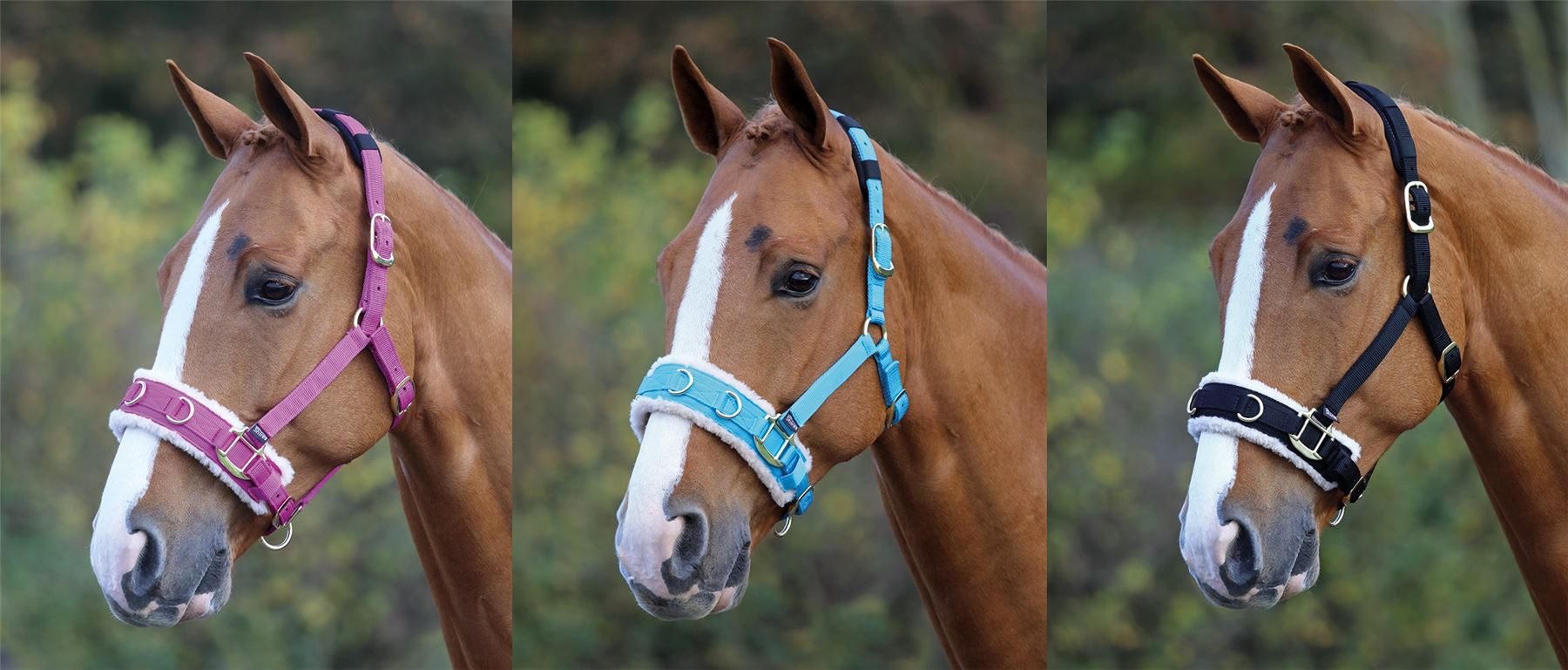 Shires Fleece Lined Lunge Cavesson - Just Horse Riders