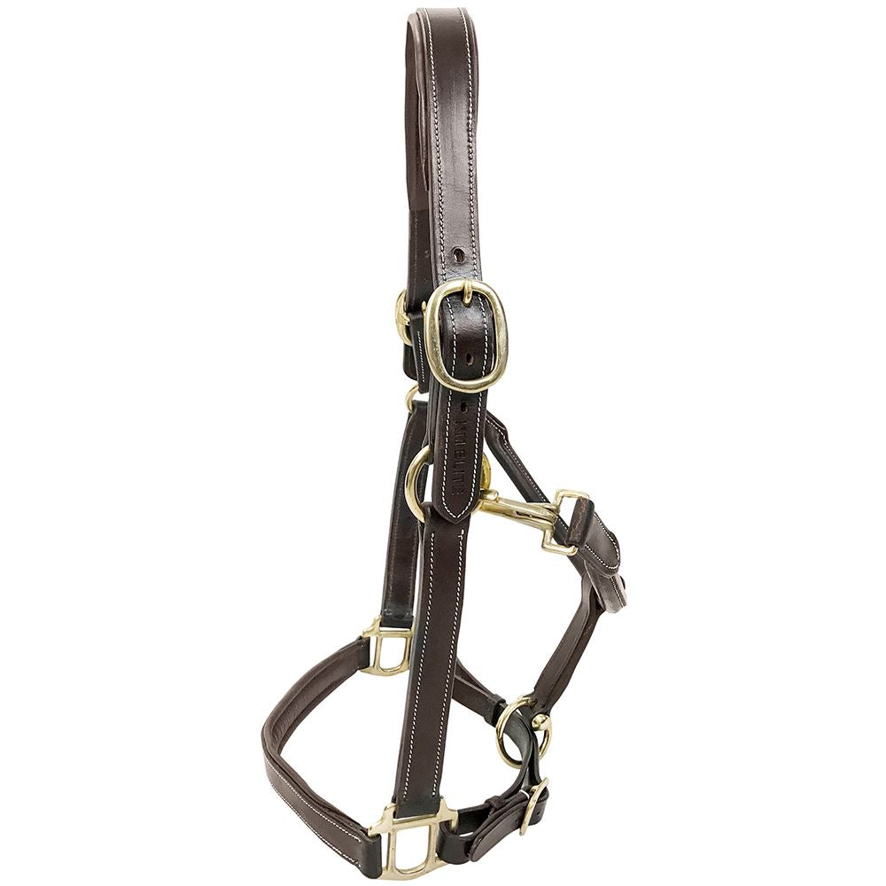 KM Elite Primera Padded Leather Headcollar - Just Horse Riders