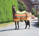 Shires Wessex Newmarket Fleece Rug - Just Horse Riders