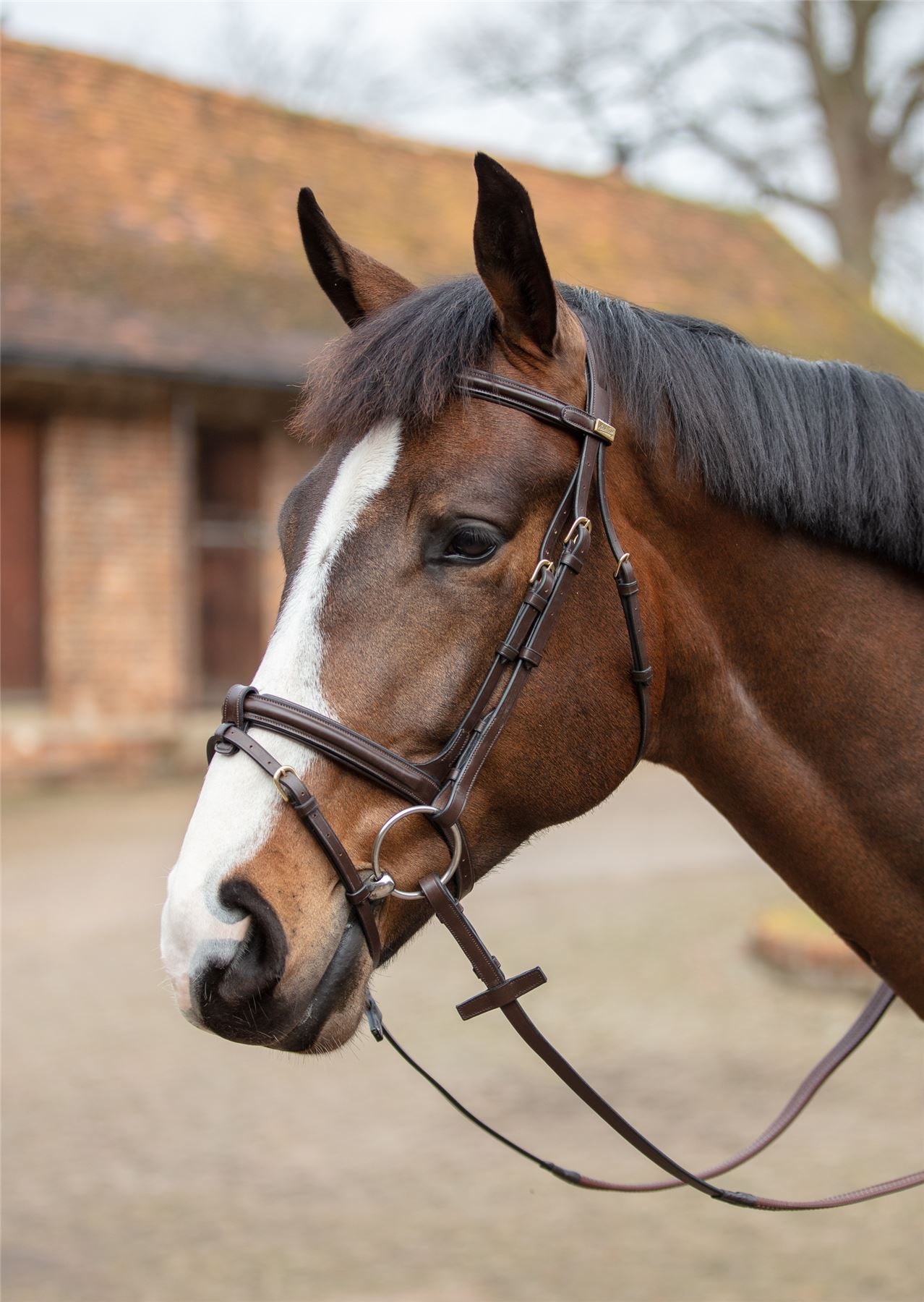 Mark Todd Performance Flash Bridle (Brass Fittings) - Just Horse Riders