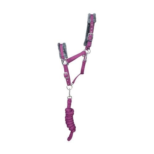 Hy Sport Active Head Collar & Rope - Just Horse Riders