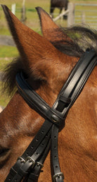 Heritage Double Comfort Bridle - Just Horse Riders