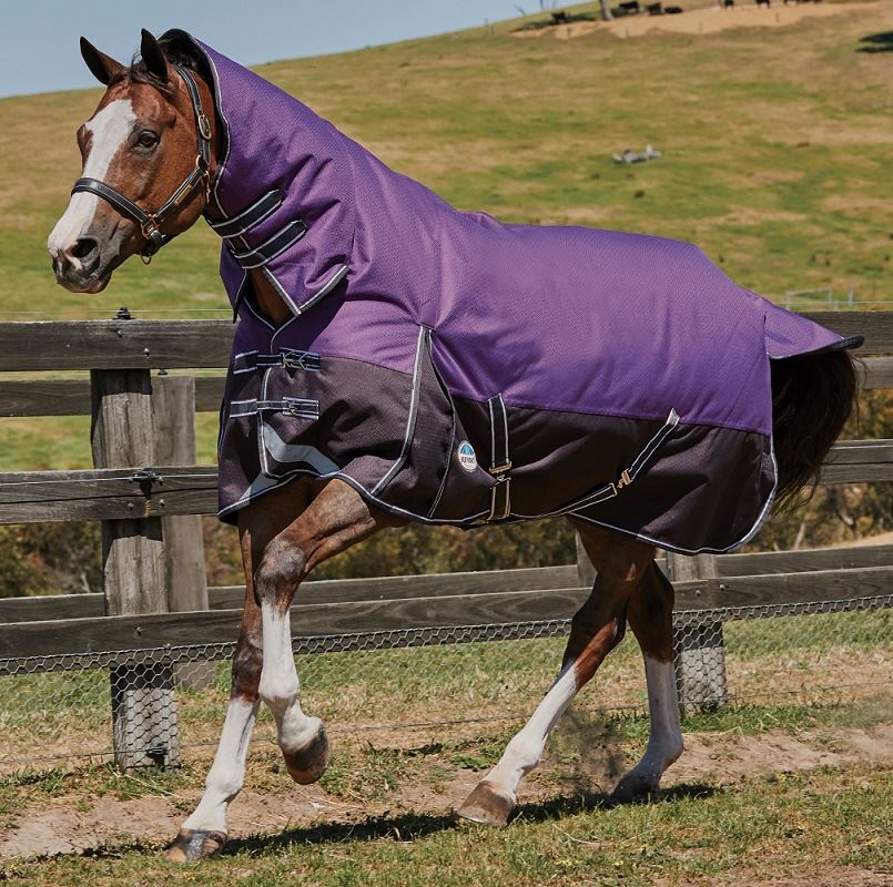 Weatherbeeta Comfitec Plus Dynamic Combo Neck Lite - Just Horse Riders