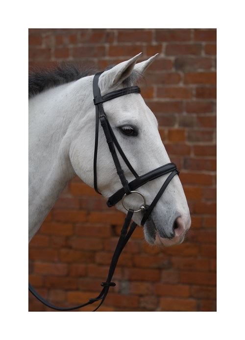 Hy Padded Flash Bridle With Rubber Grip Reins - Just Horse Riders