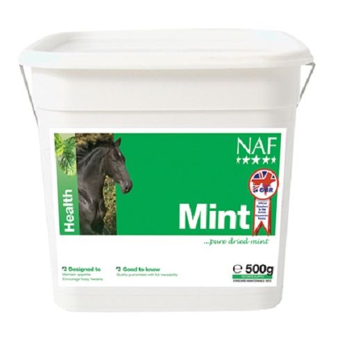 NAF Mint - Just Horse Riders