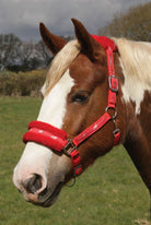 Rhinegold Logo Headcollar Fleece Trim - Just Horse Riders