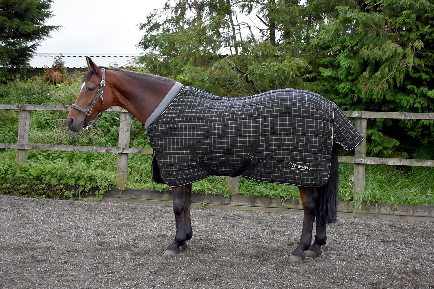 Whitaker Stable Rug Walcot 200 Gm - Just Horse Riders