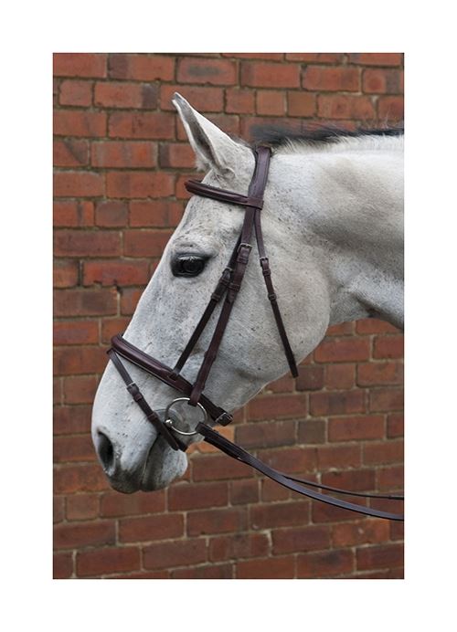 HyCLASS Deluxe Padded Headpiece Flash Bridle - Just Horse Riders