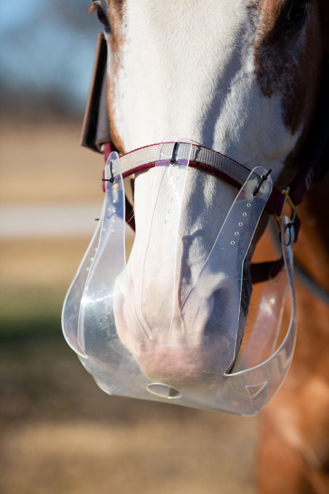 ThinLine ThinLine Flexible Filly Grazing Muzzle - Just Horse Riders