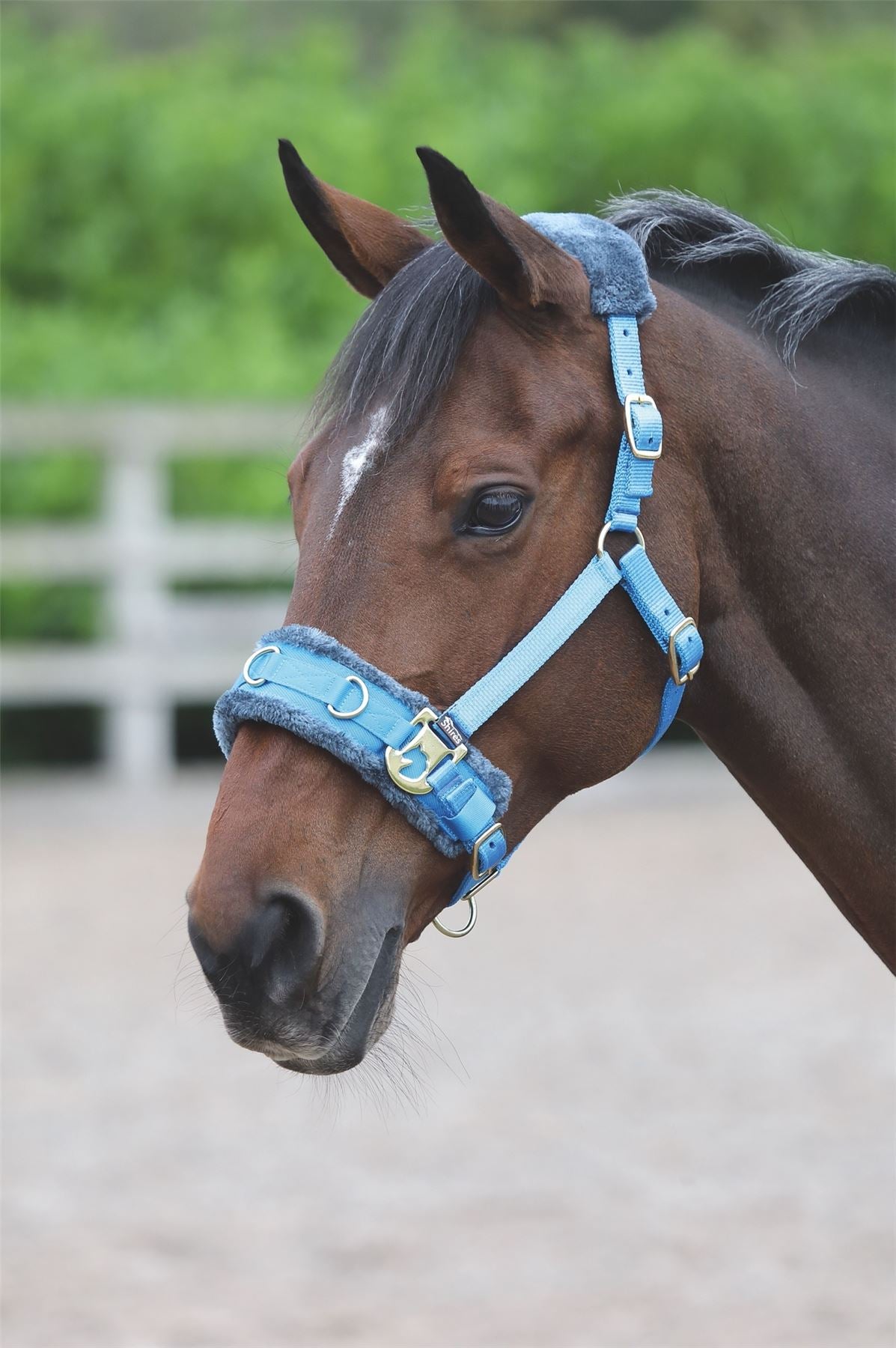 Shires Fleece Lined Lunge Cavesson - Just Horse Riders