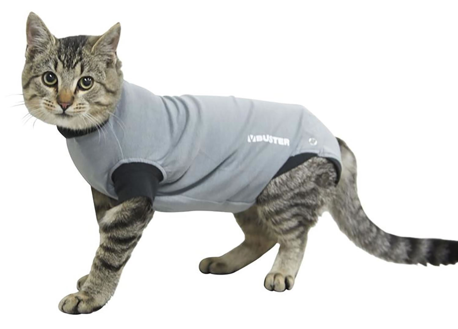 Buster Body Suit For Cats - Just Horse Riders