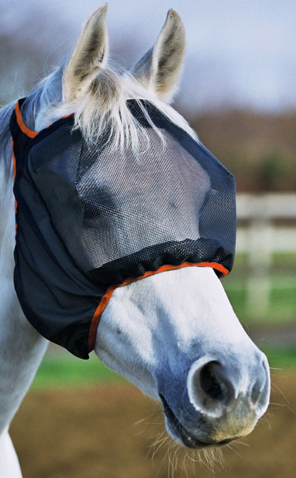 Equine Products Cool It - Just Horse Riders