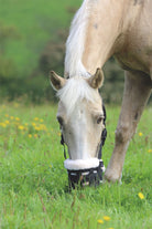 Shires Deluxe Comfort Grazing Muzzle - Just Horse Riders
