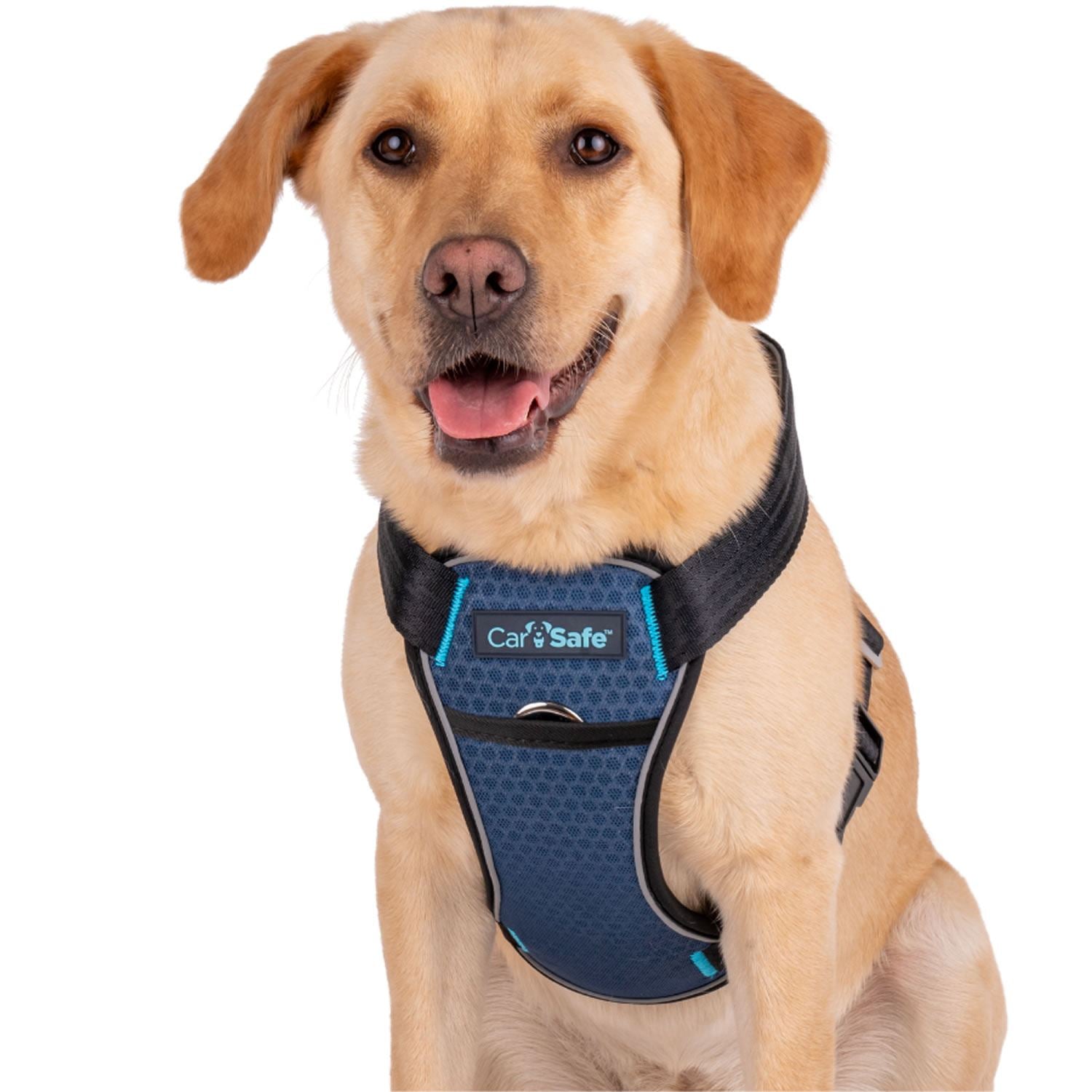 Carsafe Crash Tested Dog Harness - Just Horse Riders
