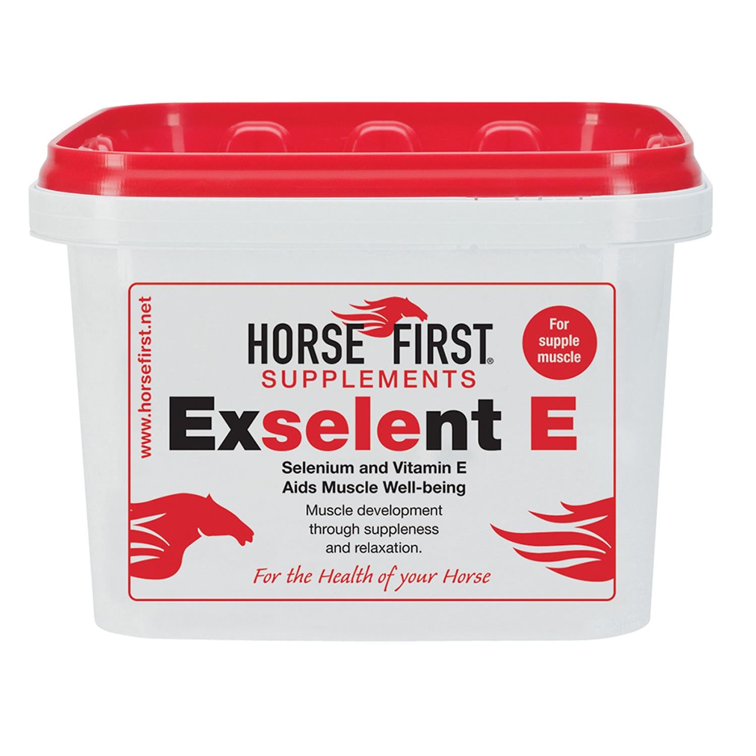 Horse First Exselent E - Just Horse Riders