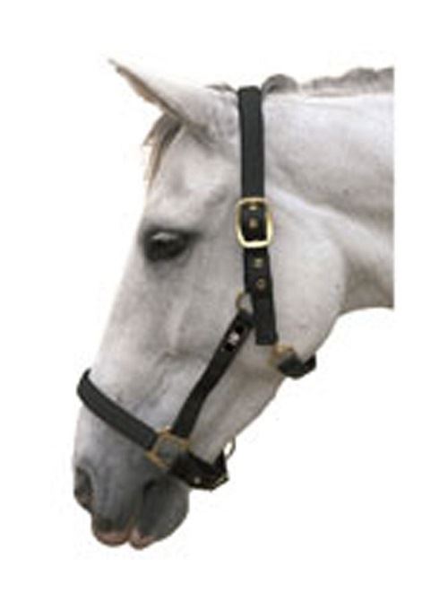 Hy Classic Head Collar - Just Horse Riders