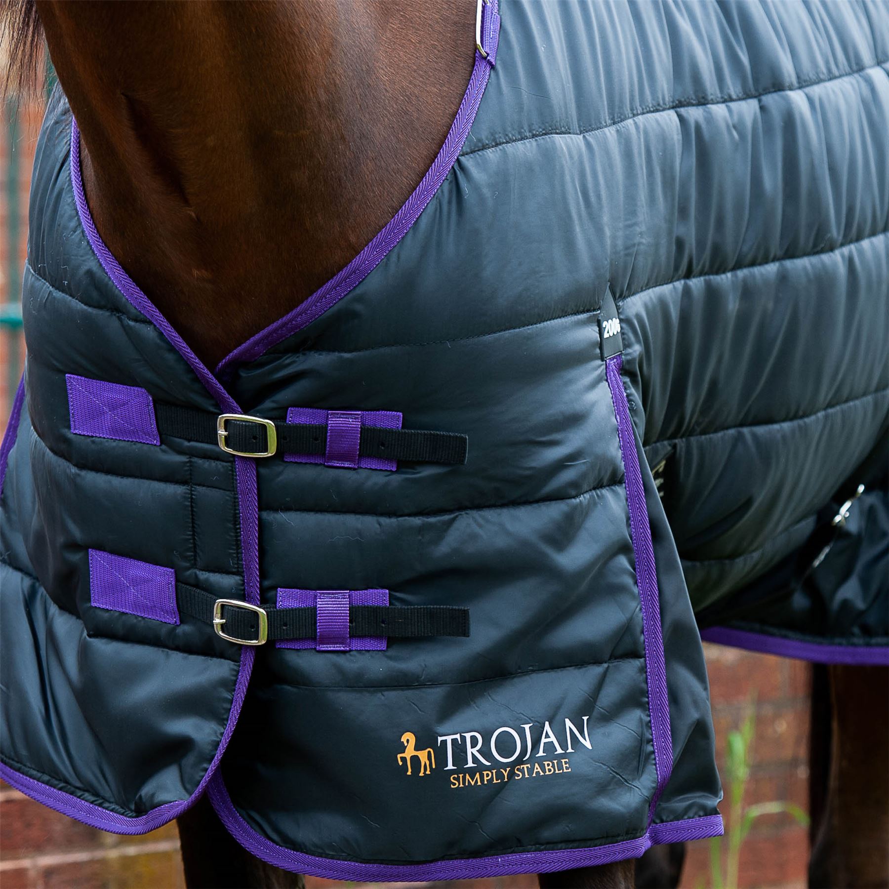 Gallop Equestrian Trojan Dual 200 Stable Rug & Neck Set - Just Horse Riders