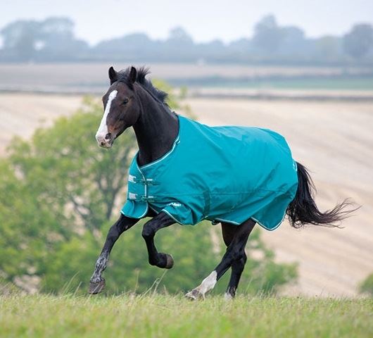 Shires Tempest Plus 200 Turnout Rug - Just Horse Riders