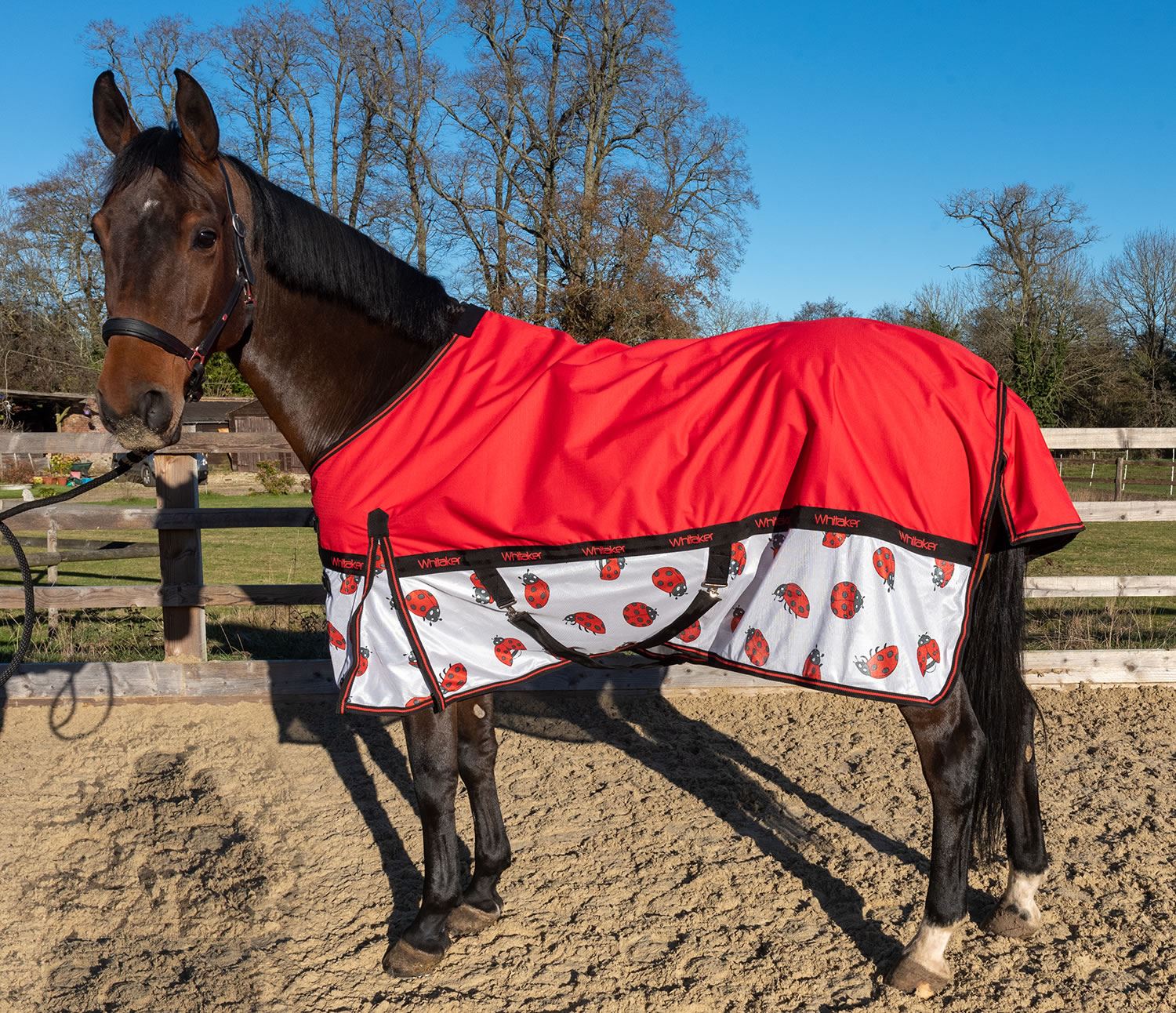 Whitaker Ladybird Airflow Turnout Rug - Just Horse Riders