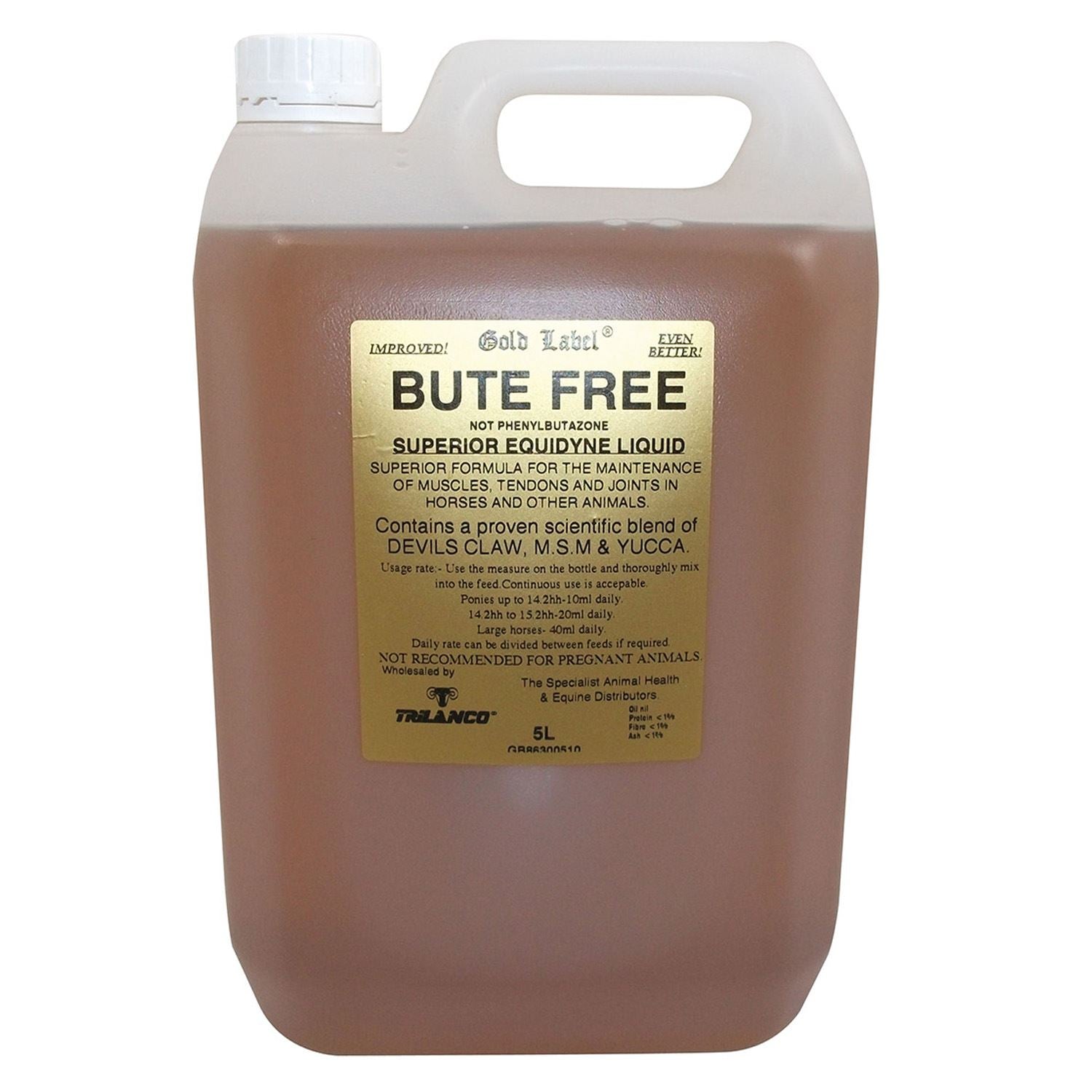 Gold Label Bute Free - Just Horse Riders