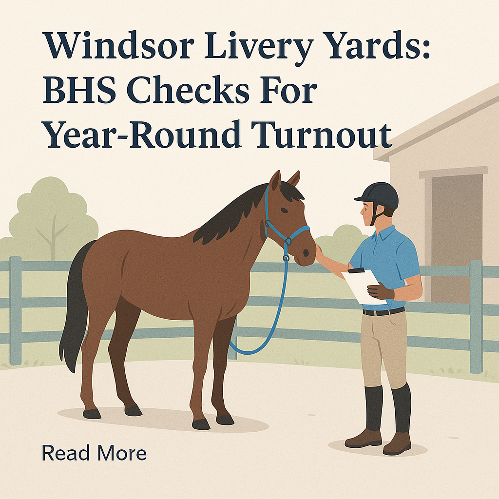 Windsor Livery Yards: BHS Checks For Year-Round Turnout- just horse riders