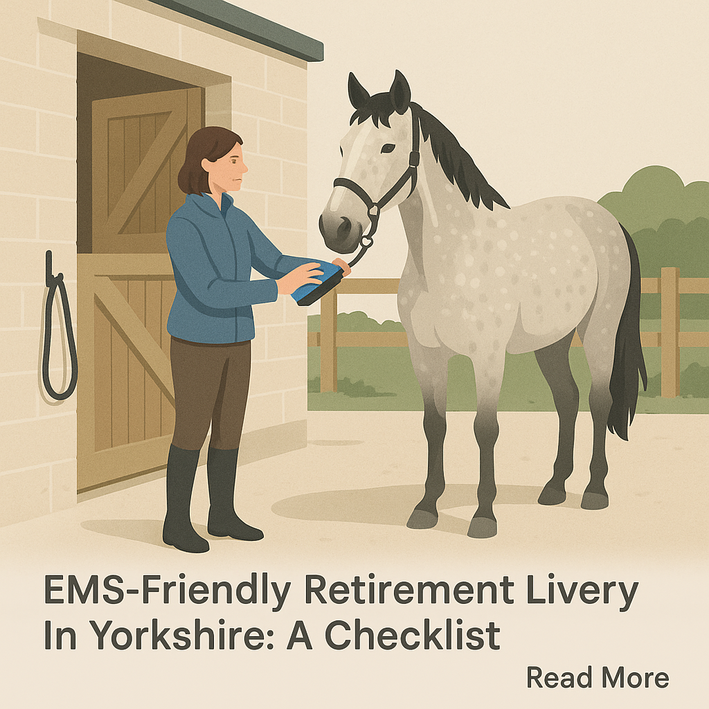 EMS-Friendly Retirement Livery In Yorkshire: A Checklist- just horse riders