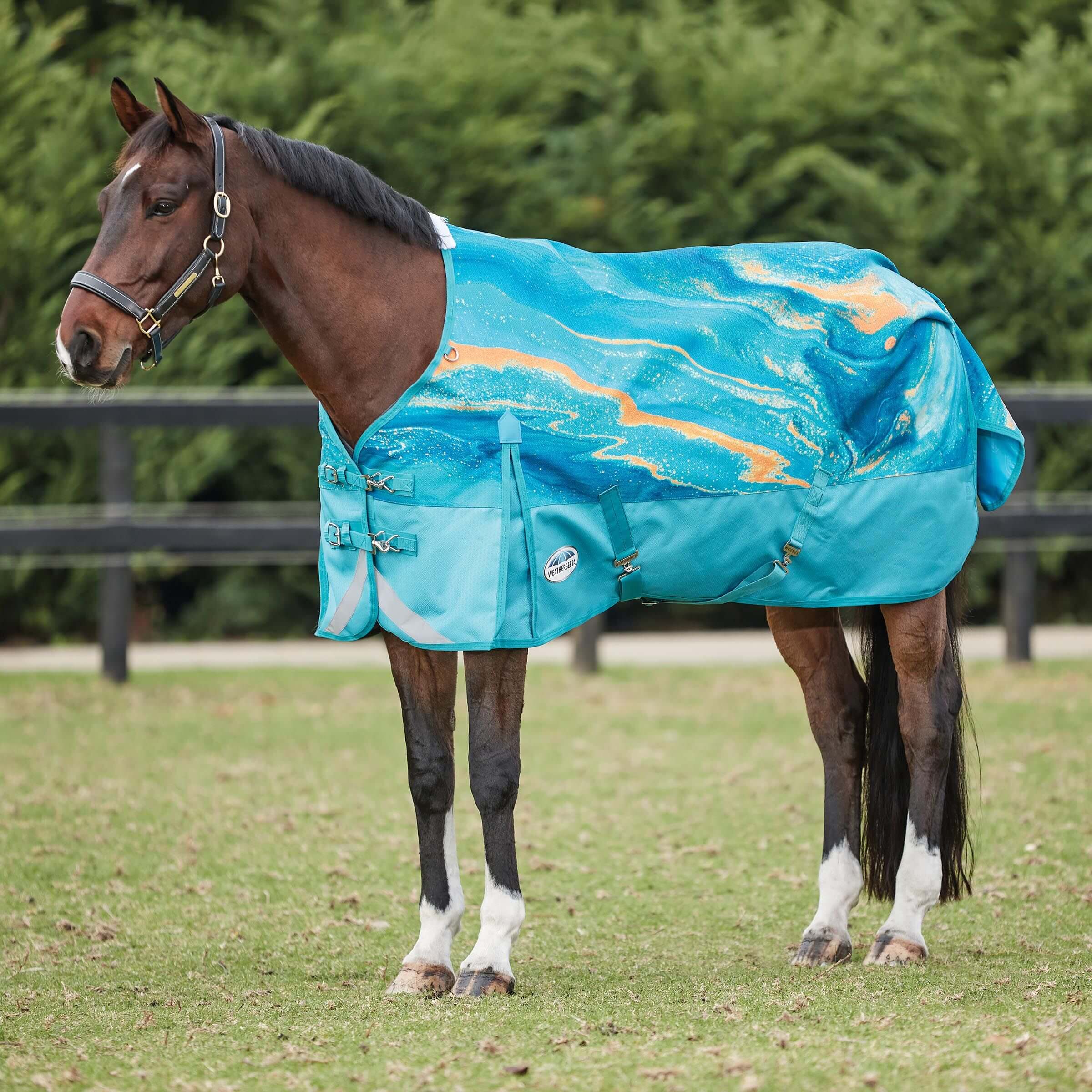 Our Top 10 Lightweight Horse Rugs: Top Picks and Everything You Need to Know