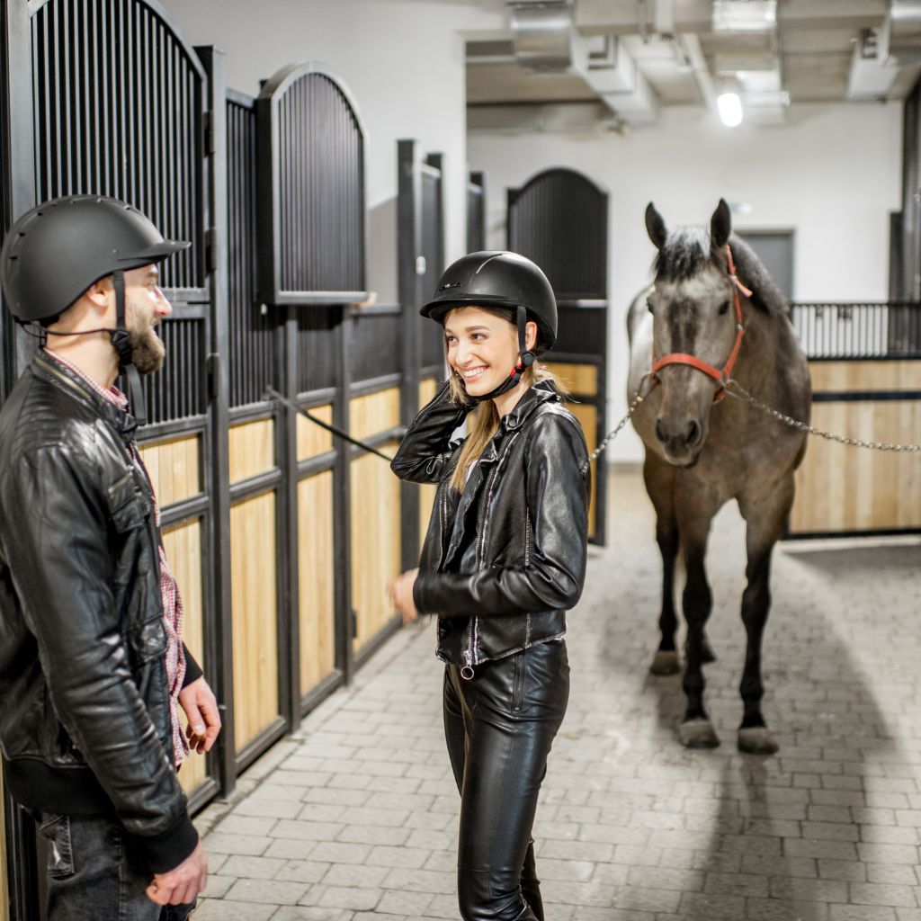 A Comprehensive Guide: How to Buy the Right Horse for You in the UK