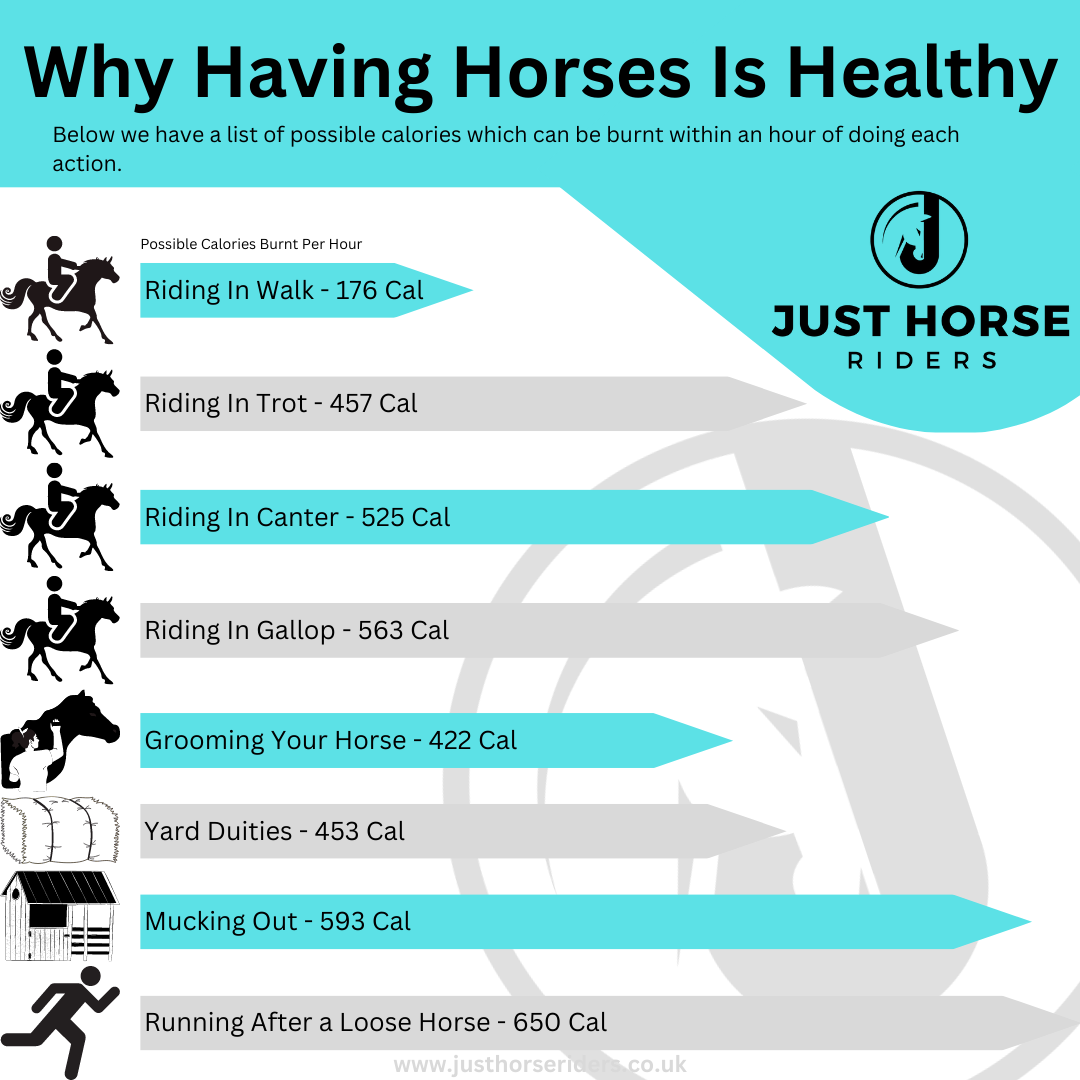 How Many Calories Can I Burn When Horse Riding?