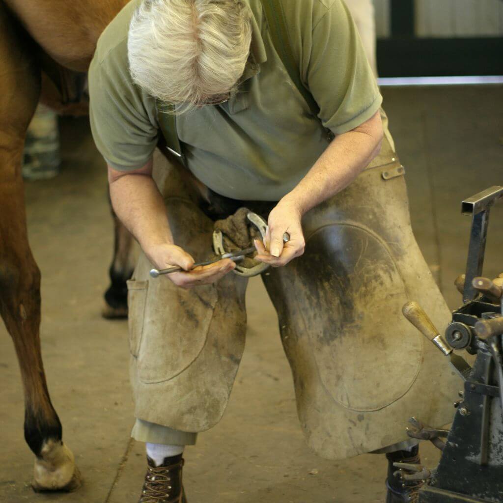 Understanding Horse Hoof Care: The Essential Guide